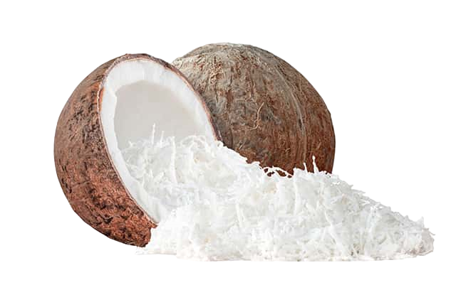 Hindistan Cevizi